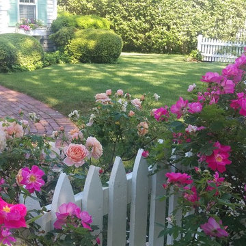 Eel River Rd. Roses and Window Boxes