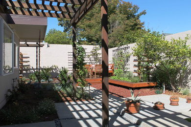 Design ideas for a modern landscaping in San Francisco.