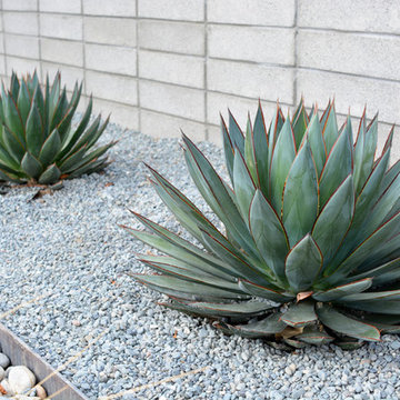 Eichler Landscape Remodel