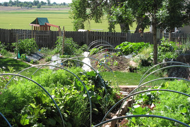 デンバーにあるお手頃価格の中くらいな、夏のエクレクティックスタイルのおしゃれな裏庭 (ゼリスケープ、池、日向、マルチング舗装) の写真