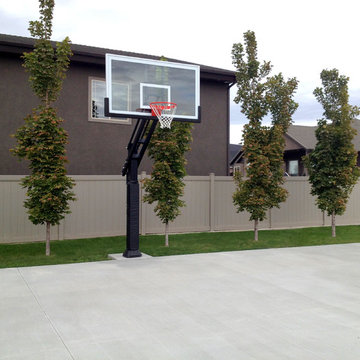 Eldon O's Pro Dunk Platinum Basketball System on a 47x29 in West Haven, UT