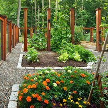 Raised Beds and Garden