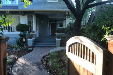 This is an example of a medium sized traditional back xeriscape full sun garden in San Francisco with a garden path and mulch.