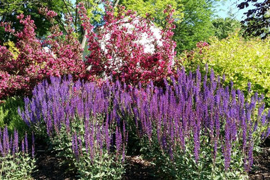 フィラデルフィアにある広いコンテンポラリースタイルのおしゃれな庭 (日向、傾斜地) の写真