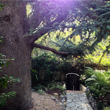 Enchanted Shade Garden- Laurel Canyon