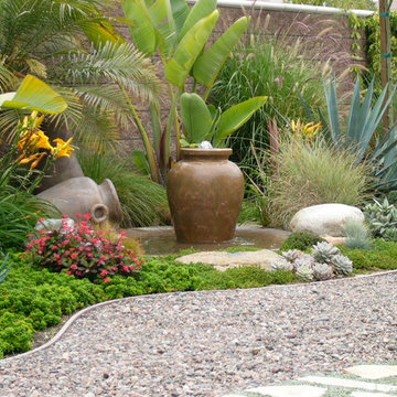 Encinitas Succulent Garden
