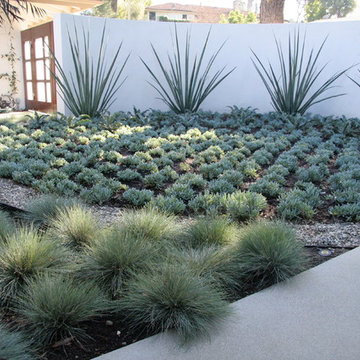 Cactus Garden Ideas | Houzz