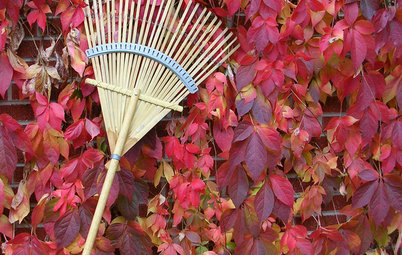 Your November Garden Checklist