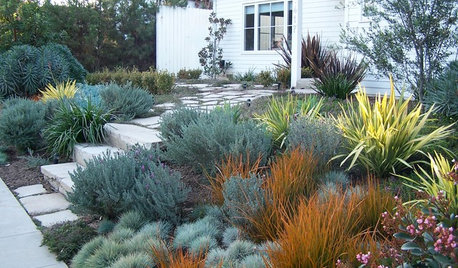 9 Ways to Use Bronze Foliage in Your Garden