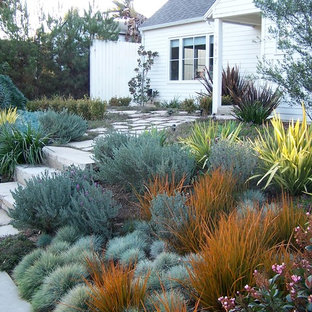 Geometrischer, Mittelgroßer Country Garten mit direkter Sonneneinstrahlung und Betonplatten in Los Angeles