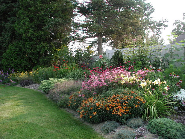 Traditional Landscape by Specialty Gardens