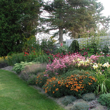 English Perennial Border - Norton Shores, MI