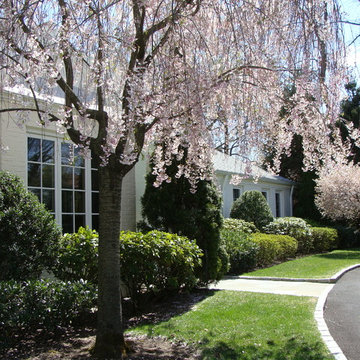 Entrance to property
