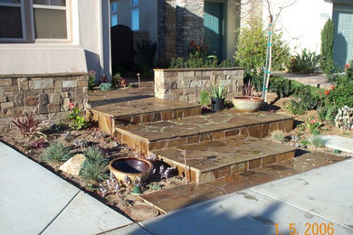 This is an example of a mediterranean landscaping in San Diego.