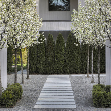 Entry Courtyard