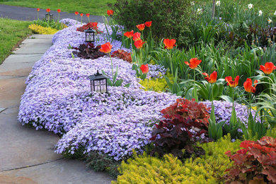 Ejemplo de jardín de secano contemporáneo pequeño en primavera en patio delantero con parterre de flores, exposición total al sol y adoquines de piedra natural