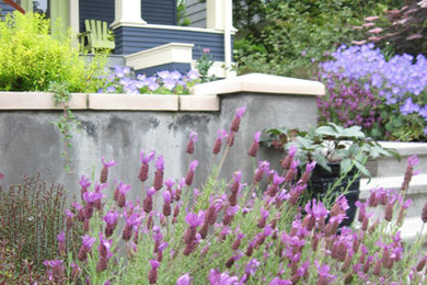 シアトルにあるエクレクティックスタイルのおしゃれな庭の写真