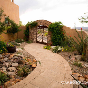 Entry way landscaping design from Sonoran Gardens