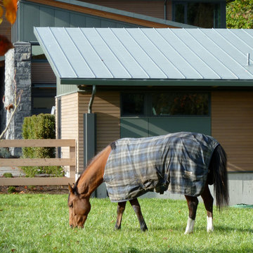 Equestrian Estate