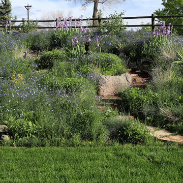 Erley in Bloom