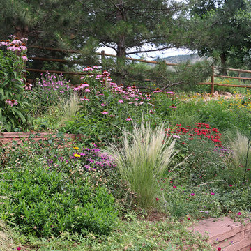 Erley's in Bloom