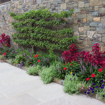 Espalier Landscape Design and Masonry