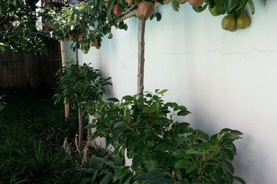 Diseño de jardín clásico de tamaño medio en verano en patio trasero con jardín francés, exposición total al sol y adoquines de hormigón