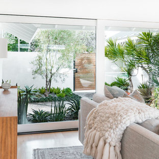 Photo of a mid-century modern landscaping in Orange County.