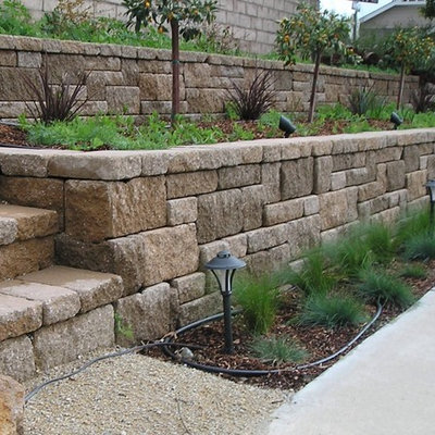 Inspiration for a mid-sized traditional drought-tolerant backyard stone retaining wall landscape in San Luis Obispo.