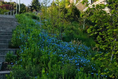 На фото: большой солнечный засухоустойчивый сад на склоне в классическом стиле с садовой дорожкой или калиткой и хорошей освещенностью с