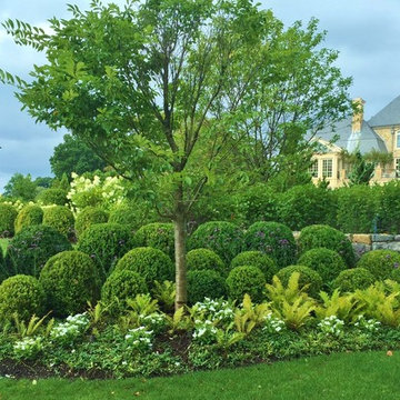 Evergreen driveway entrance