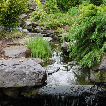 Evergreen Garden Stream