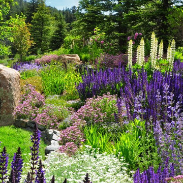 Evergreen Mountain Retreat