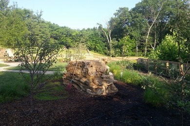 Foto de jardín de secano extra grande en patio trasero con exposición total al sol