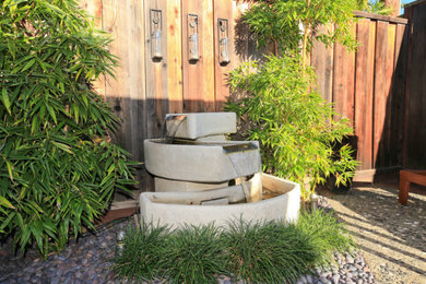 サクラメントにあるコンテンポラリースタイルのおしゃれな庭の写真