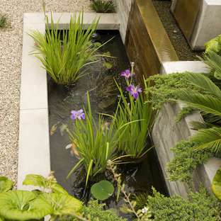 Photo of a mid-century modern water fountain landscape in Orange County.
