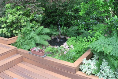Diseño de jardín tropical de tamaño medio en verano en patio trasero con fuente, exposición total al sol y entablado
