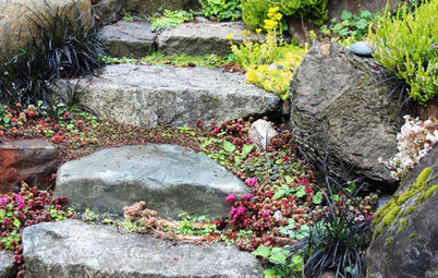 Plant Your Steps for a Great Garden Look