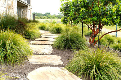 Inspiration for a large modern side xeriscape partial sun garden in San Francisco with a garden path and mulch.