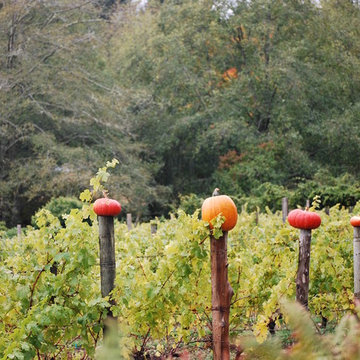 F A R M - Seasonal Autumn