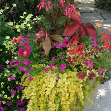 Fabulous Container Gardens