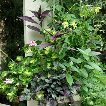 Fabulous Container Gardens