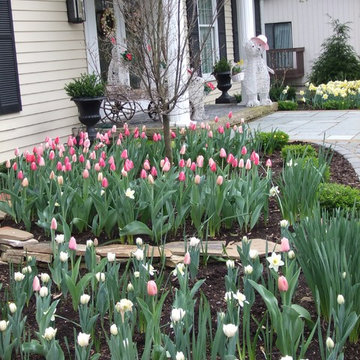 Fall Bulbs for Spring Blooms