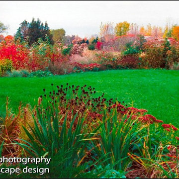 Fall Color Front Yard.  Minnesota Landscape Design.