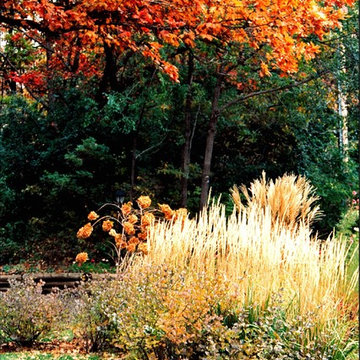 Fall Colors and Textures.  Minnesota Landscape Design.