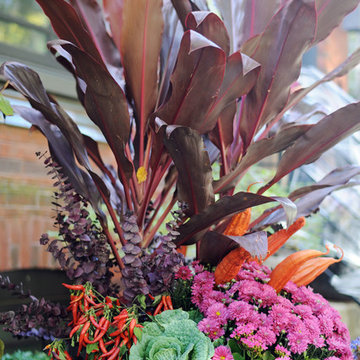 Fall Container Plantings