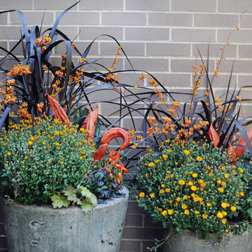 Fall Container Plantings