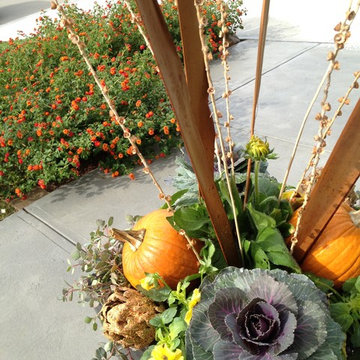 Fall Containers