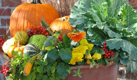 10 Standout Fall Container Gardens With Seasonal Pizazz