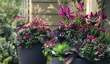 10 Colorful Container Gardens That Celebrate Autumn’s Arrival